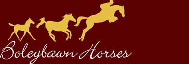Boleybawn Horses Limited